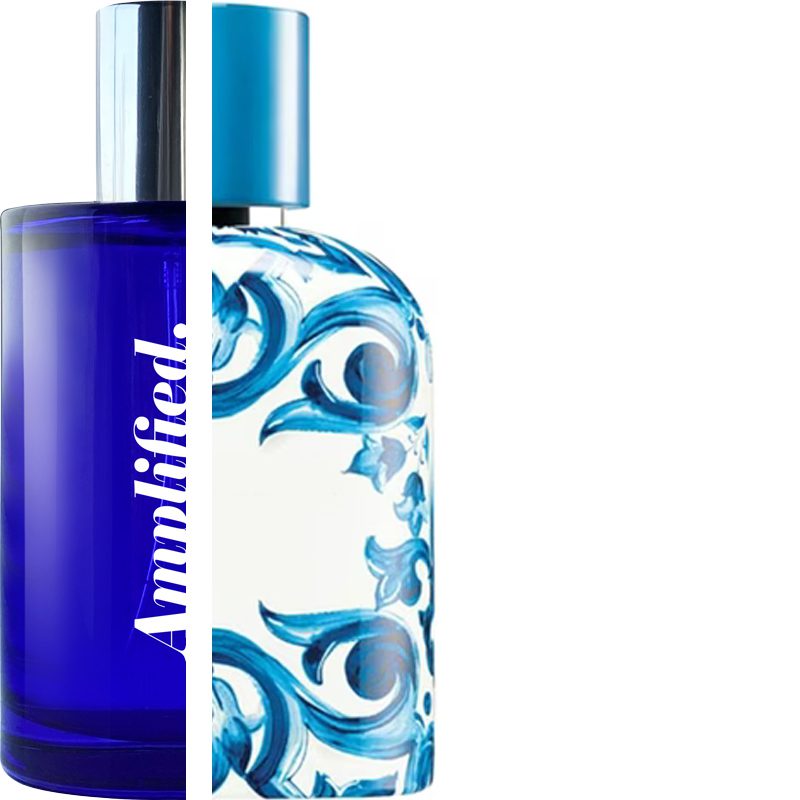 DOLCE&GABBANA - Light blue capri in love pour homme IMPRESSION | Amplified