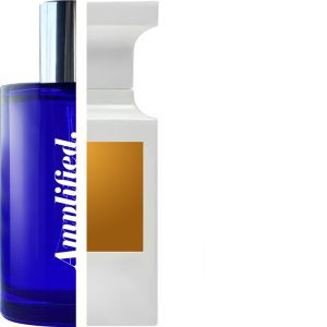 TOM FORD - soleil blanc IMPRESSION | Amplified