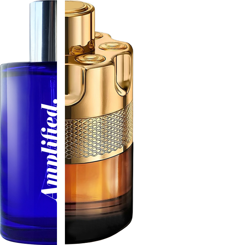 AZZARO - Forever Wanted Absolu IMPRESSION | Amplified